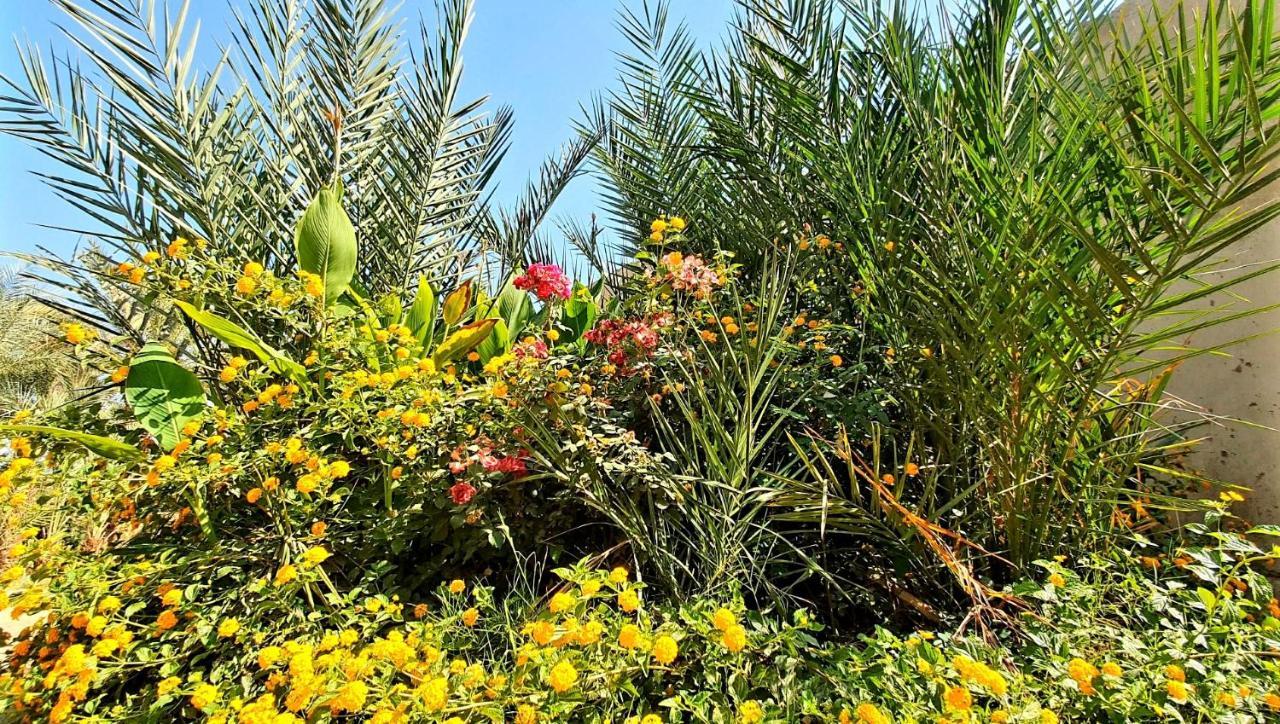 Sekhmet Retreat Centre Otel Luksor Dış mekan fotoğraf