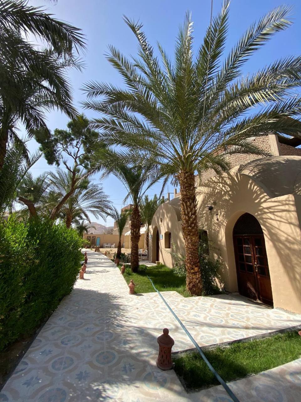 Sekhmet Retreat Centre Otel Luksor Dış mekan fotoğraf
